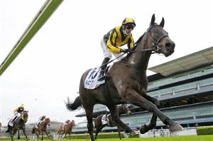 Big Bets for 07.08.2021