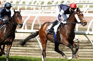 Melbourne Cup Acceptances - Early Contenders Revealed