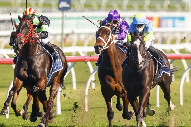 SYDNEY, AUSTRALIA - AUGUST 07: Joshua Parr  (R) on Matowatakpe wins race 4 the Billy Camer Handicap during Sydney Racing at Royal Randwick Racecourse on August 07, 2021 in Sydney, Australia. (Photo by Mark Evans/Getty Images)