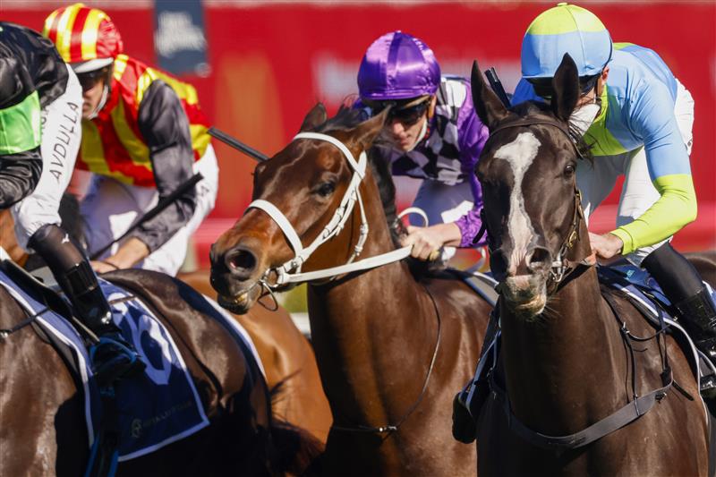 SYDNEY, AUSTRALIA - AUGUST 07: Joshua Parr  (R) on Matowatakpe wins race 4 the Billy Camer Handicap during Sydney Racing at Royal Randwick Racecourse on August 07, 2021 in Sydney, Australia. (Photo by Mark Evans/Getty Images)
