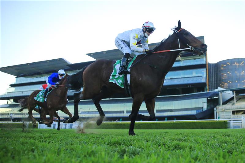 SYDNEY, AUSTRALIA - AUGUST 07: Brenton Avdulla  on Kingsheir wins race 10 the ATC Thank You Jockeys Handicap
during Sydney Racing at Royal Randwick Racecourse on August 07, 2021 in Sydney, Australia. (Photo by Mark Evans/Getty Images)