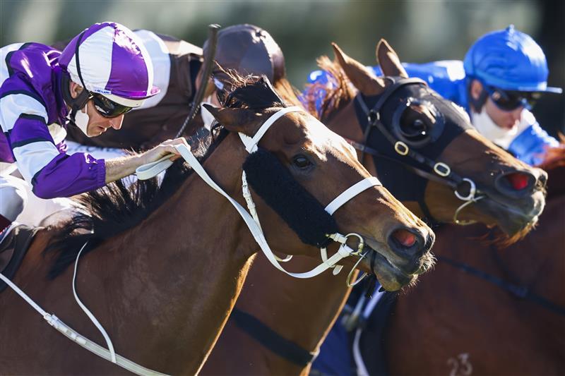 SYDNEY, AUSTRALIA - AUGUST 07: Hugh Bowman on Starla wins race 6 the Ray Selkrig Handicap during Sydney Racing at Royal Randwick Racecourse on August 07, 2021 in Sydney, Australia. (Photo by Mark Evans/Getty Images)