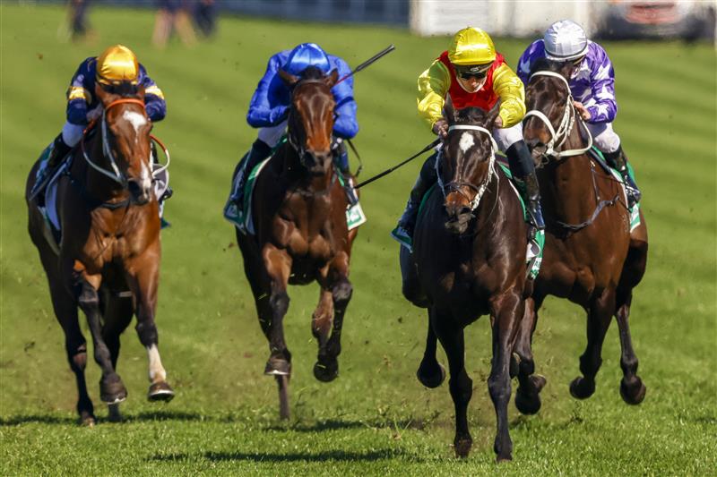 SYDNEY, AUSTRALIA - AUGUST 07: James McDonald (yellow) on Hot Spring Gold wins race 1 the Clubsnsw Western Metropolitan Handicap during Sydney Racing at Royal Randwick Racecourse on August 07, 2021 in Sydney, Australia. (Photo by Mark Evans/Getty Images)