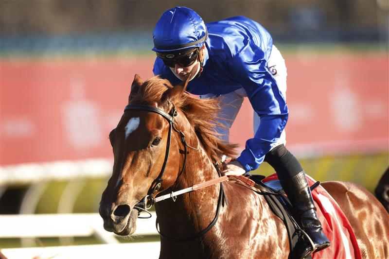SYDNEY, AUSTRALIA - AUGUST 07: James McDonald on Paulele wins race 8 the Fujitsu General Rosebud at Royal Randwick Racecourse  on August 07, 2021 in Sydney, Australia. (Photo by Mark Evans/Getty Images)