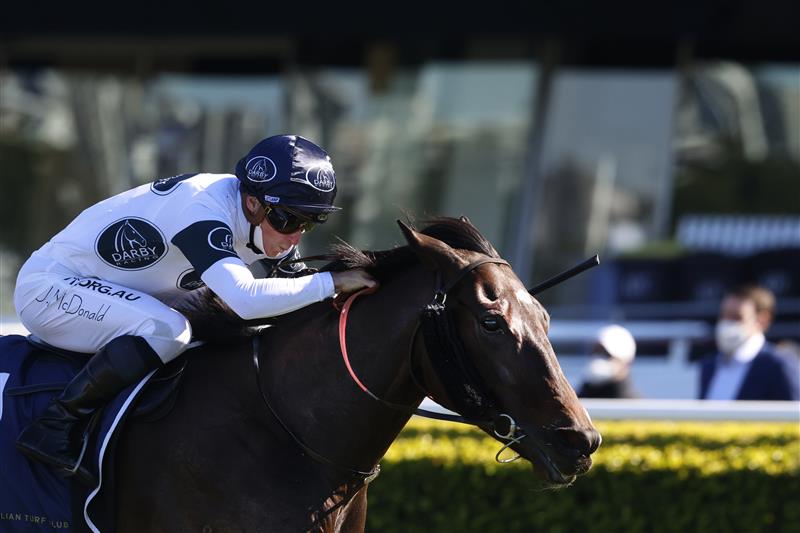 SYDNEY, AUSTRALIA - AUGUST 07: James McDonald on Harpo Marx wins race 2 the Cliff Clare Handicap during Sydney Racing at Royal Randwick Racecourse on August 07, 2021 in Sydney, Australia. (Photo by Mark Evans/Getty Images)