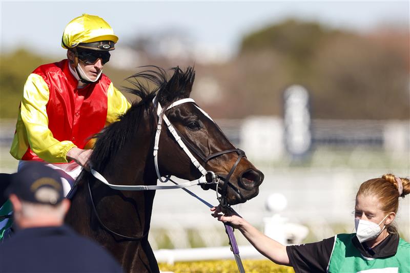 SYDNEY, AUSTRALIA - AUGUST 07: James McDonald on Hot Spring Gold returns to scale after winning
 race 1 the Clubsnsw Western Metropolitan Handicap during Sydney Racing at Royal Randwick Racecourse on August 07, 2021 in Sydney, Australia. (Photo by Mark Evans/Getty Images)