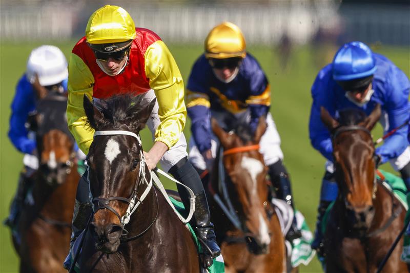 SYDNEY, AUSTRALIA - AUGUST 07: James McDonald (yellow) on Hot Spring Gold wins race 1 the Clubsnsw Western Metropolitan Handicap during Sydney Racing at Royal Randwick Racecourse on August 07, 2021 in Sydney, Australia. (Photo by Mark Evans/Getty Images)