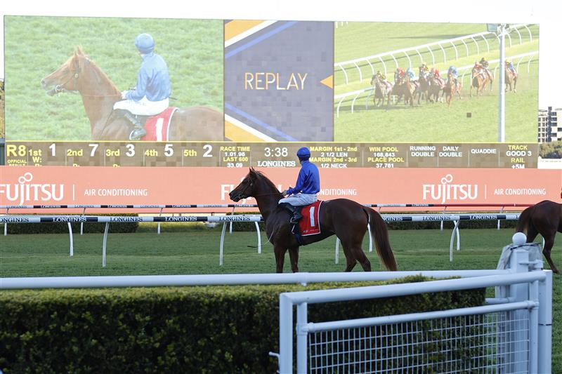SYDNEY, AUSTRALIA - AUGUST 07: James McDonald on Paulele watches a replay of the race as he returns to scale after winning race 8 the Fujitsu General Rosebud at Royal Randwick Racecourse  on August 07, 2021 in Sydney, Australia. (Photo by Mark Evans/Getty Images)