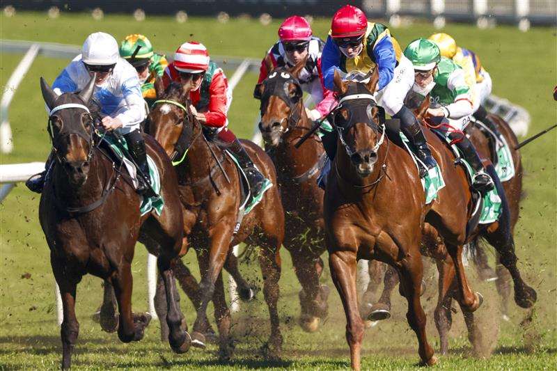 SYDNEY, AUSTRALIA - AUGUST 07: James McDonald (blue sleeves) on Dream Runner wins race 3 the Tab Highway Class 3 Plate during Sydney Racing at Royal Randwick Racecourse on August 07, 2021 in Sydney, Australia. (Photo by Mark Evans/Getty Images)