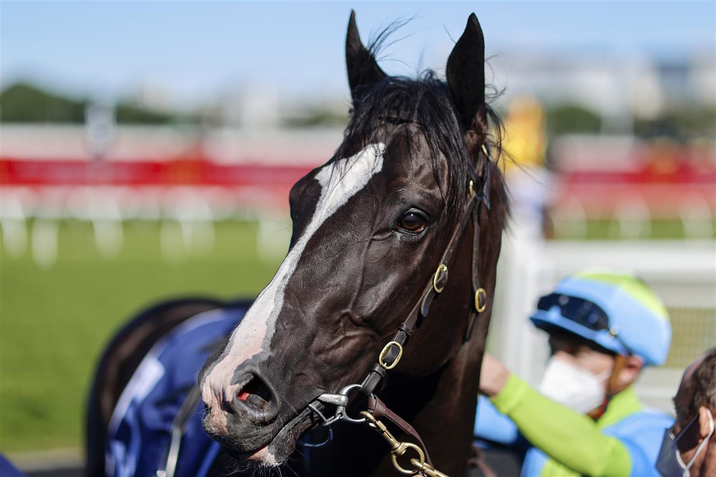 SYDNEY, AUSTRALIA - AUGUST 07: Joshua Parr on Matowatakpe returns to scale after winning
 race 4 the Billy Camer Handicap during Sydney Racing at Royal Randwick Racecourse on August 07, 2021 in Sydney, Australia. (Photo by Mark Evans/Getty Images)