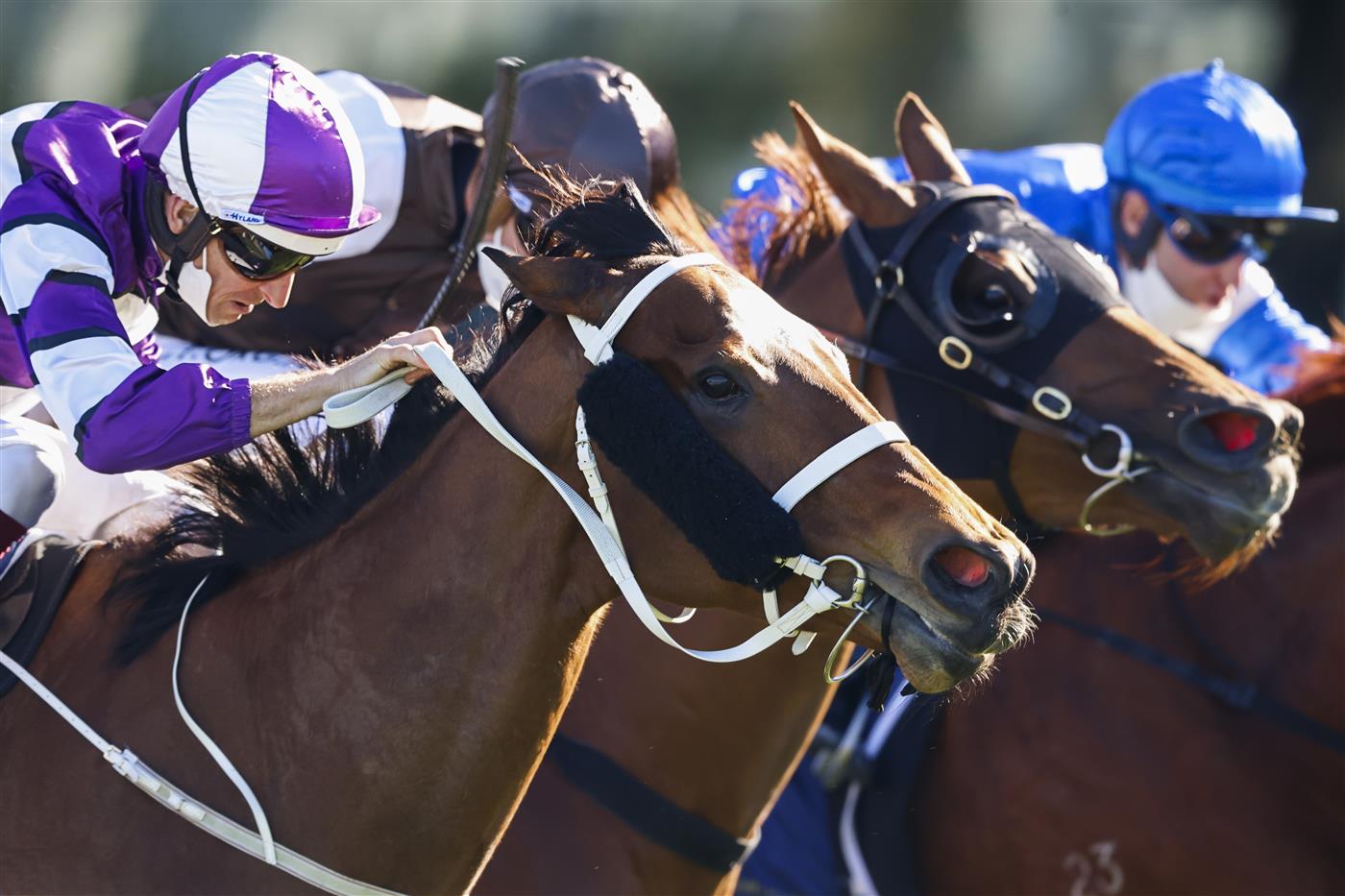 SYDNEY, AUSTRALIA - AUGUST 07: Hugh Bowman on Starla wins race 6 the Ray Selkrig Handicap during Sydney Racing at Royal Randwick Racecourse on August 07, 2021 in Sydney, Australia. (Photo by Mark Evans/Getty Images)