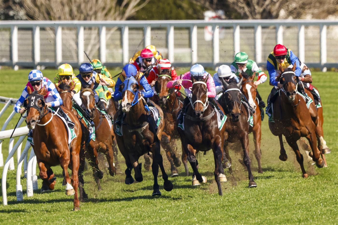 SYDNEY, AUSTRALIA - AUGUST 07: James McDonald (blue sleeves) on Dream Runner wins race 3 the Tab Highway Class 3 Plate during Sydney Racing at Royal Randwick Racecourse on August 07, 2021 in Sydney, Australia. (Photo by Mark Evans/Getty Images)