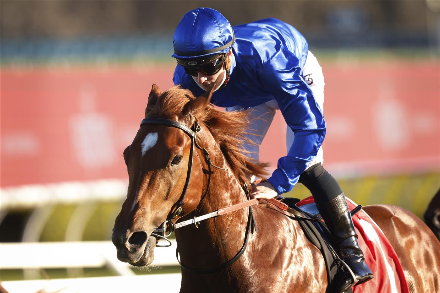 SYDNEY, AUSTRALIA - AUGUST 07: James McDonald on Paulele wins race 8 the Fujitsu General Rosebud at Royal Randwick Racecourse  on August 07, 2021 in Sydney, Australia. (Photo by Mark Evans/Getty Images)