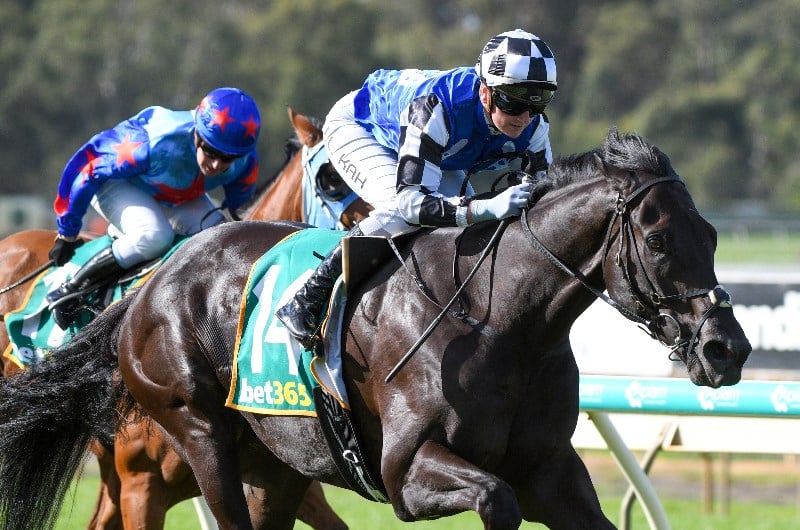 Cantala Stakes Betting Odds