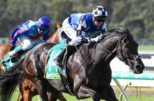 Cantala Stakes Betting Odds - A competitive market has been set