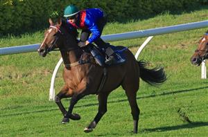 Caulfield Stakes Betting Odds - Zaaki holds a strong grip on betting