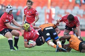 Cheetahs vs Lions