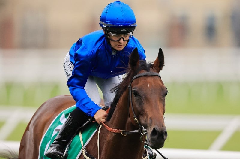 Empire Rose Stakes Betting Odds