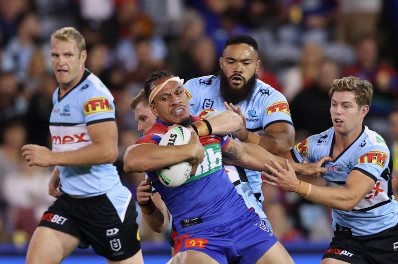 sharks knights