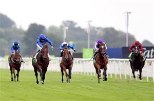 Juddmonte International Stakes Live Stream - Watch this Ebor Festival race online
