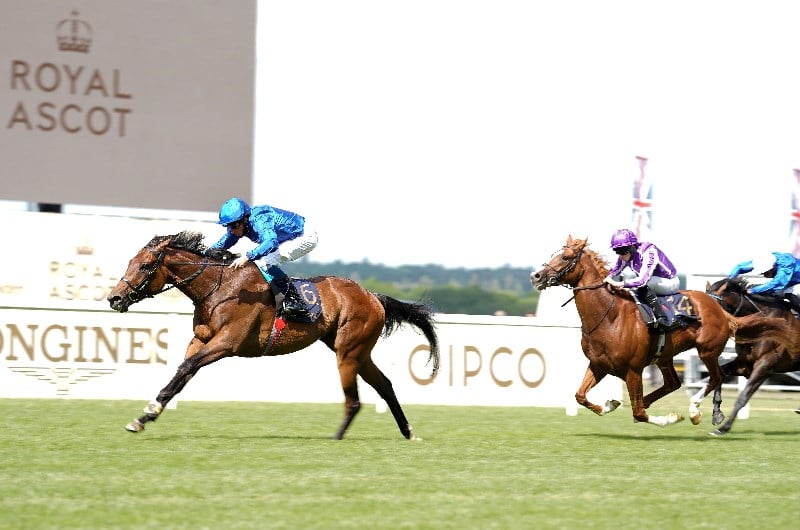 Tote Ebor Tips Tote Ebor Tips