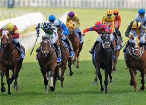 Winx Stakes Barrier Draw & Final Field