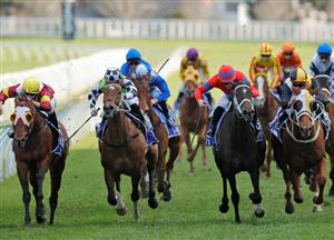Winx Stakes Preview, Betting Tips & Predictions