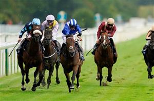 Nunthorpe Stakes Live Stream - Watch this Ebor Festival race online