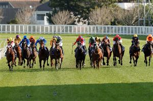Winx Stakes Live Stream - Watch live Australian racing