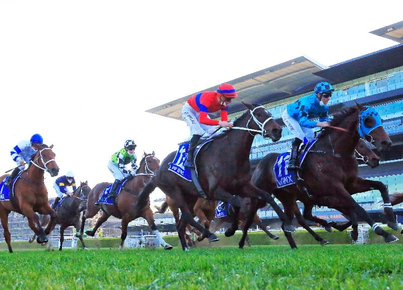 Randwick Highlights - August 21