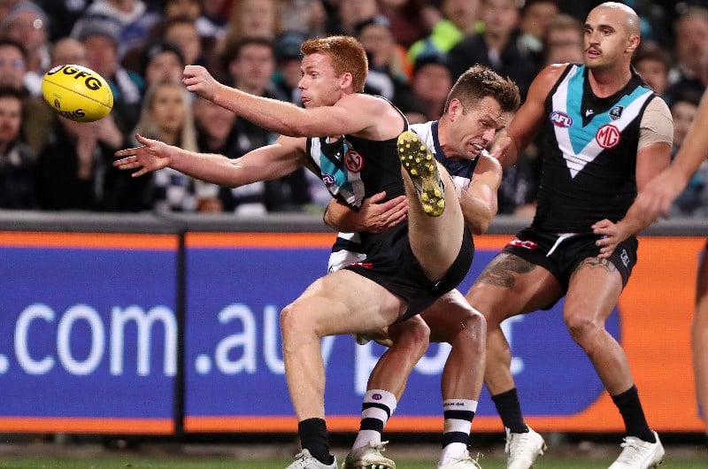 power cats AFL