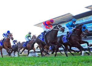 Randwick Blackbookers & Review - August 21