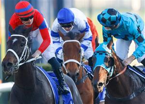 Randwick Highlights - Winx Stakes Day