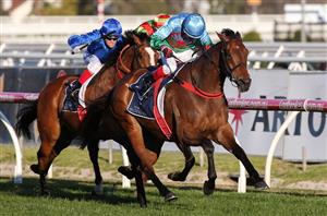 Memsie Stakes Live Stream - Watch live Australian racing