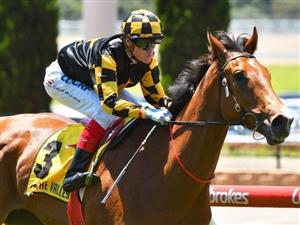 Memsie Stakes Odds - Latest Betting Market & Movers