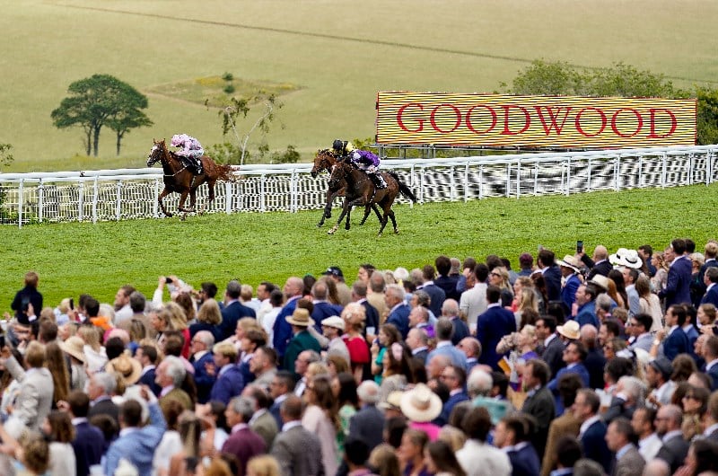 2022 Glorious Goodwood News | Dates and vital information. 2022 Glorious Goodwood News | Dates and vital information.
