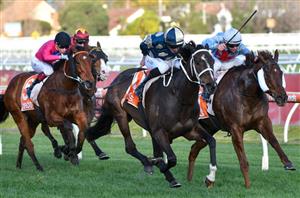 Memsie Stakes Preview, Betting Tips & Predictions
