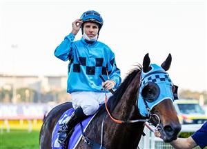 Makybe Diva Stakes Betting Odds - Mo'unga favourite for Flemington