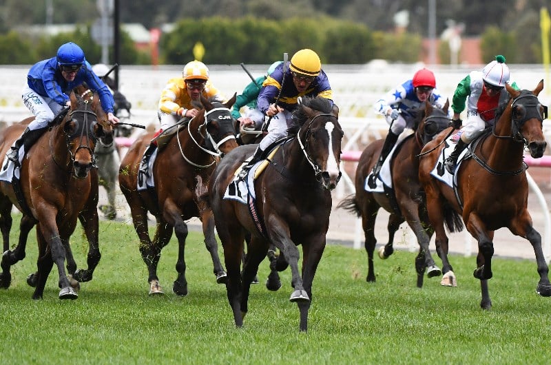 Makybe Diva Stakes Live Stream - Watch the Flemington Group 1 streamed live