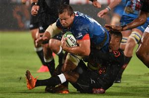 bulls vs sharks