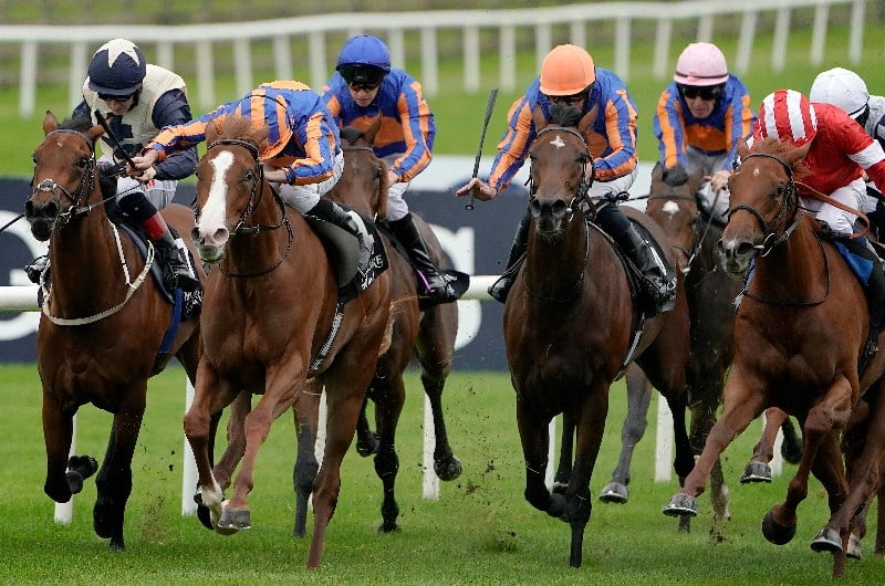 Love curragh