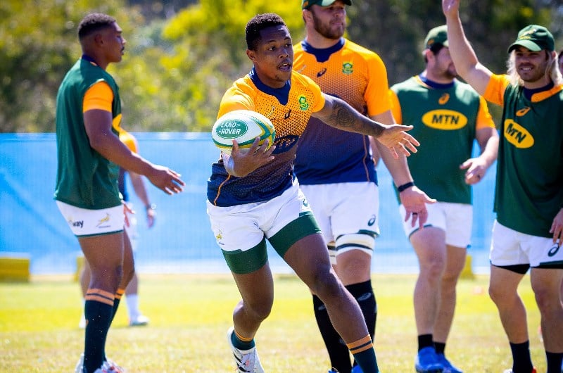 springboks wallabies