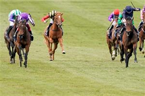 Placepot Pointers - Tote's tips at Leopardstown on September 11