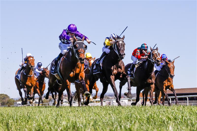 KEMBLA GRANGE, AUSTRALIA - SEPTEMBER 11: Jason Collett on Toomuchtobear wins race 3 the Bowermans Commercial Furniture Handicap during Sydney Racing at Kembla Grange Racecourse on September 11, 2021 in Kembla Grange, Australia. (Photo by Mark Evans/Getty Images)