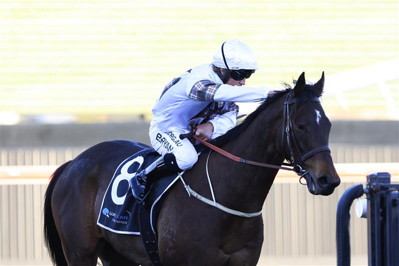 KEMBLA GRANGE, AUSTRALIA - SEPTEMBER 11: Brock Ryan pats Count De Rupee after winning race 9 the Quayclean Handicap during Sydney Racing at Kembla Grange Racecourse on September 11, 2021 in Kembla Grange, Australia. (Photo by Mark Evans/Getty Images)