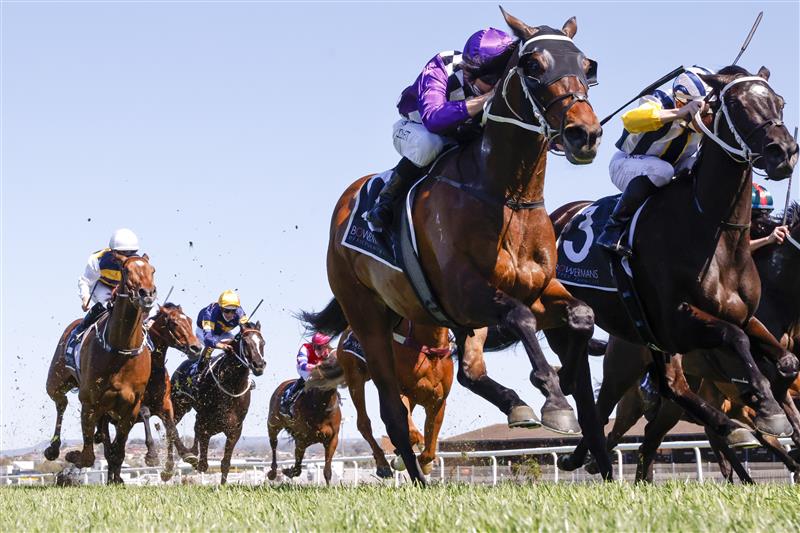 KEMBLA GRANGE, AUSTRALIA - SEPTEMBER 11: Jason Collett on Toomuchtobear wins race 3 the Bowermans Commercial Furniture Handicap during Sydney Racing at Kembla Grange Racecourse on September 11, 2021 in Kembla Grange, Australia. (Photo by Mark Evans/Getty Images)