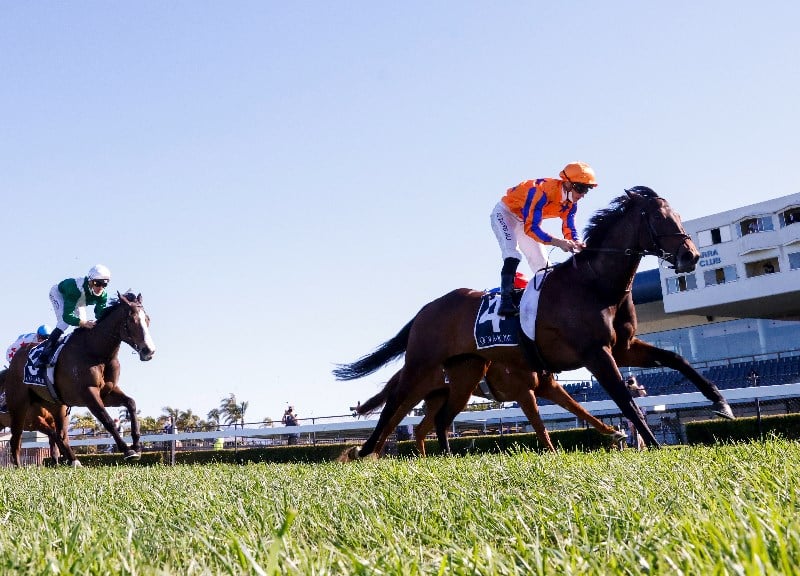 Big Bets results from 11.09.2021