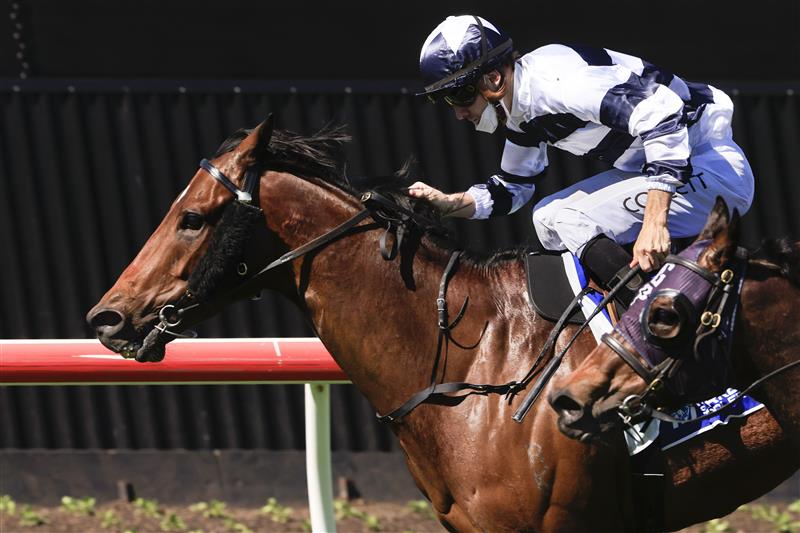 KEMBLA GRANGE, AUSTRALIA - SEPTEMBER 11: Jason Collett on Dalaalaat wins race 4 the Midway Handicap Sydney Racing at Kembla Grange Racecourse on September 11, 2021 in Kembla Grange, Australia. (Photo by Mark Evans/Getty Images)