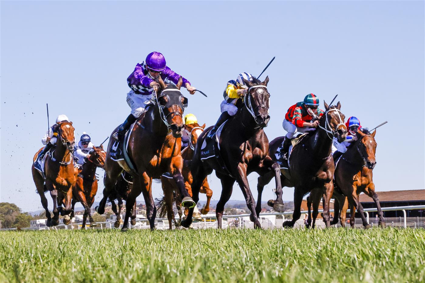 KEMBLA GRANGE, AUSTRALIA - SEPTEMBER 11: Jason Collett on Toomuchtobear wins race 3 the Bowermans Commercial Furniture Handicap during Sydney Racing at Kembla Grange Racecourse on September 11, 2021 in Kembla Grange, Australia. (Photo by Mark Evans/Getty Images)