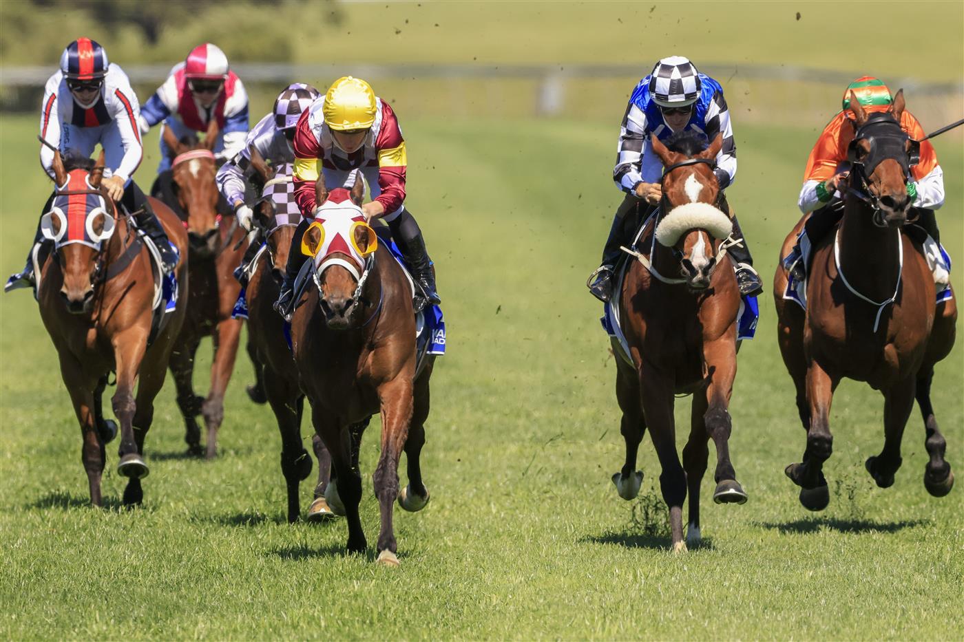 KEMBLA GRANGE, AUSTRALIA - SEPTEMBER 11: James McDonald (yellow cap) on Accountability wins race 2 the Dyson Handicap during Sydney Racing at Kembla Grange Racecourse on September 11, 2021 in Kembla Grange, Australia. (Photo by Mark Evans/Getty Images)